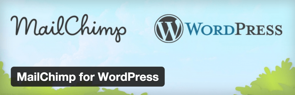 plugin phai co cho moi website wordpress email mailchimp