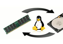 Cách tạo SWAP cho VPS Linux (Ubuntu, AlmaLinux)