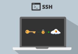 Hướng dẫn kết nối SSH vào VPS bằng MobaXterm